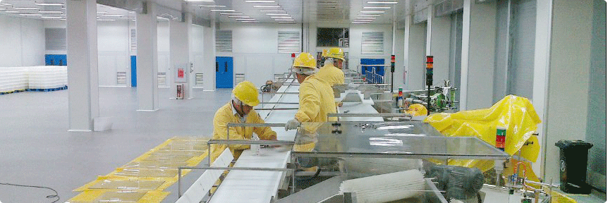 食品餃子輸送帶 食品餃子輸送帶