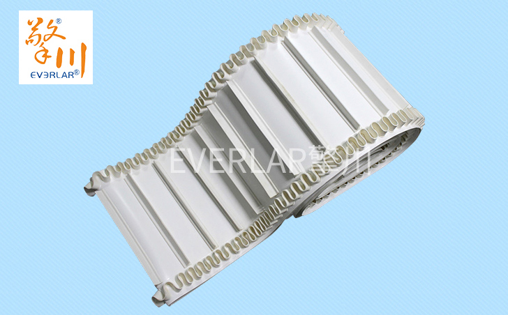 PU裙邊食品輸送帶 PU裙邊食品輸送帶