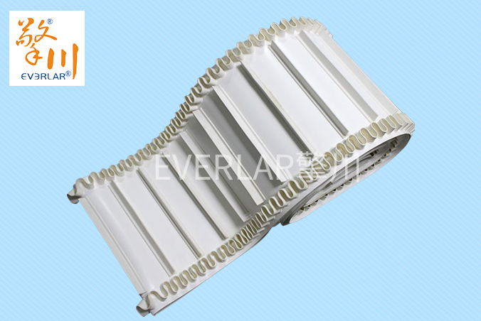 1650362578171919.jpg 裙邊輸送帶