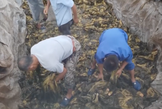 食品輸送帶：“土坑酸菜”11家企業(yè)復(fù)工，消費(fèi)者還買單嗎