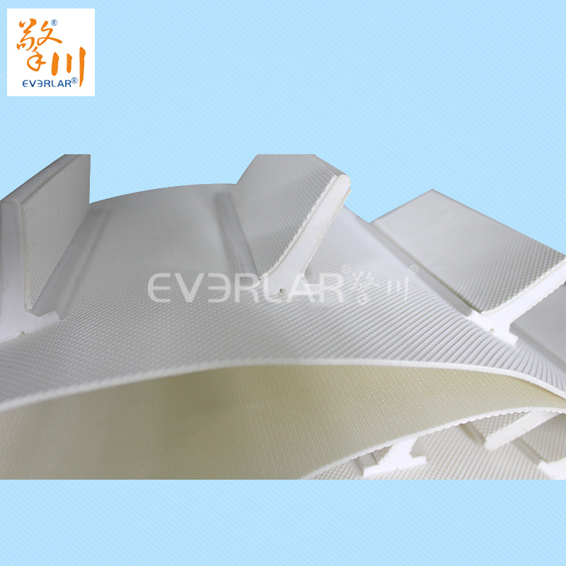 1654155730158660.jpg 食品專(zhuān)用的輸送帶有哪些?